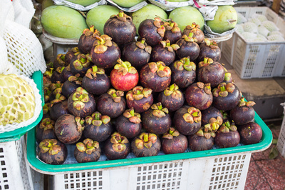 Garcinia mangostana